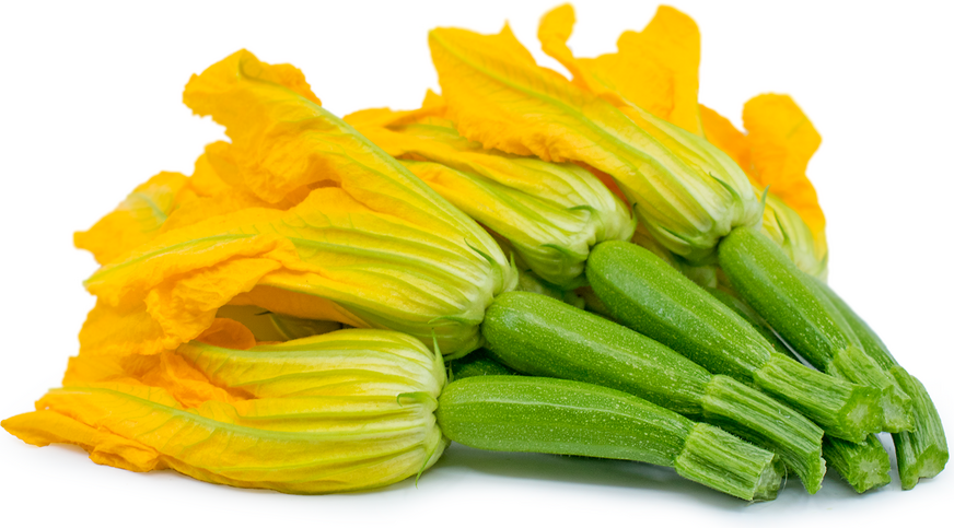 ZUCCHINI FLOWER -A VERY FINE AND SWEET FLAVOR