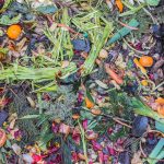 A Full Guide To Composting.
