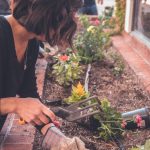 Top 4 Tips For A Flourishing Kitchen Herb Garden