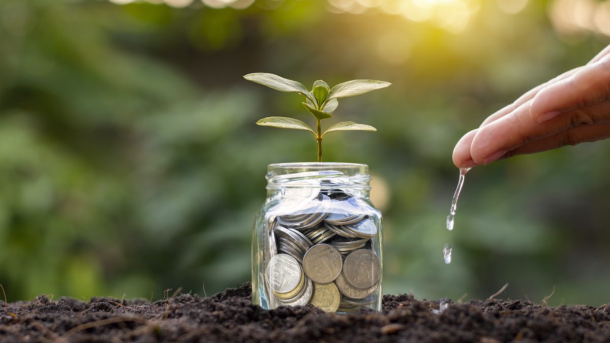 Green Thumb Economics: How to Cut Down Gardening Costs?