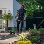 5 Things Things To Know About Landscaping
