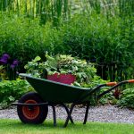 Designing Your Garden: Budget And Tips