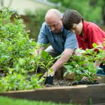 How to Sow Vegetables in Your Garden