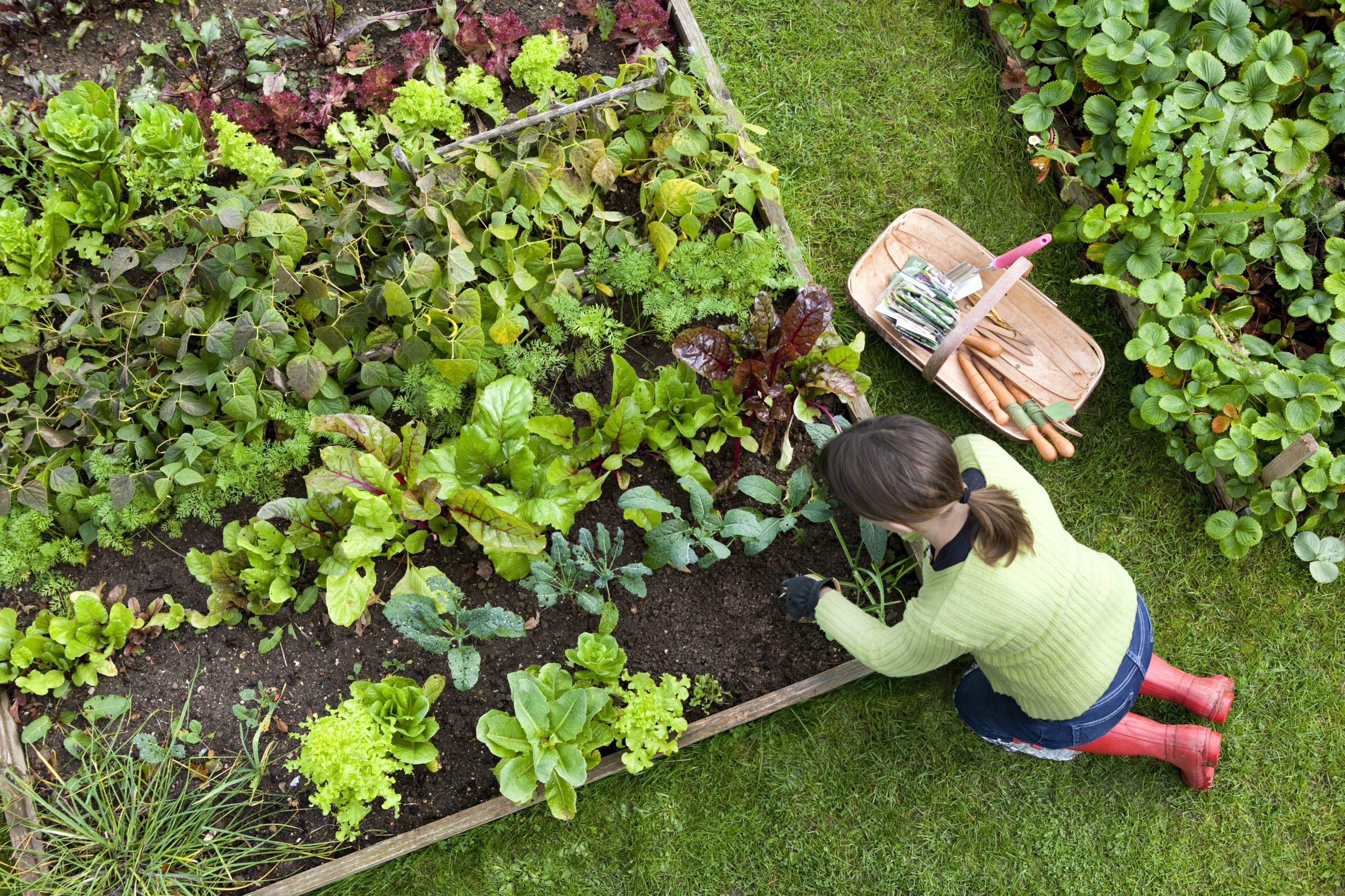 Gardening Habits Worth Cultivating