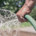 The Budget to Install an Automatic Watering System