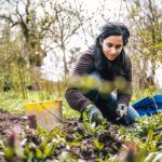 Top 6 Tips For Taking Care Of Your Garden