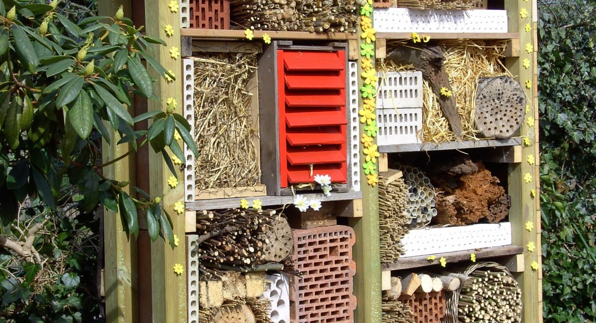 5 Steps to Building a Bug House