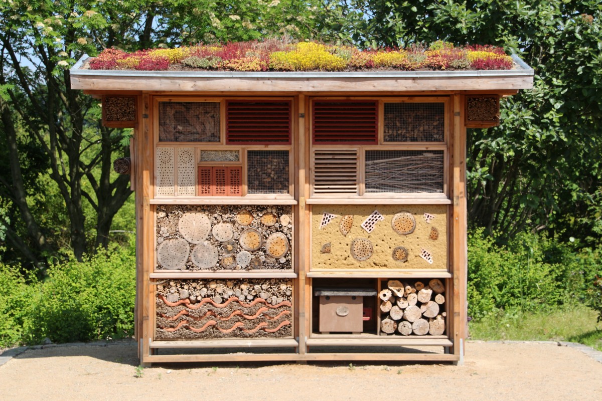 5 Steps to Building a Bug House