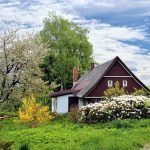 Top 5 Tips To Start A Roof Garden