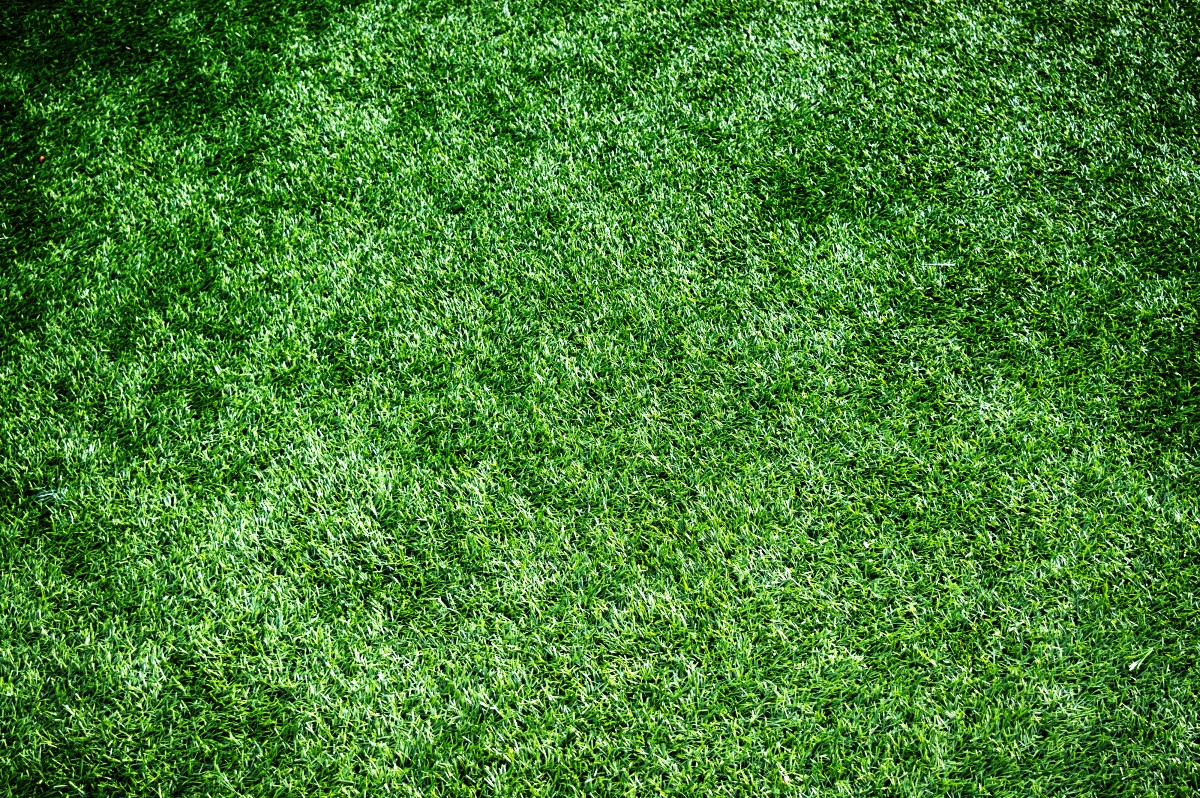 How to Choose Your Synthetic Turf