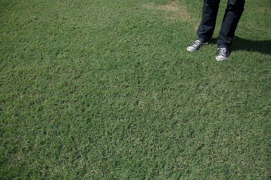 3 Steps for Laying Turf Rolls
