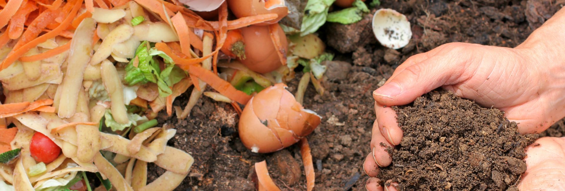 Composting: A Guide to Turning Your Food Waste into Garden Gold