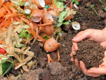 Composting: A Guide to Turning Your Food Waste into Garden Gold