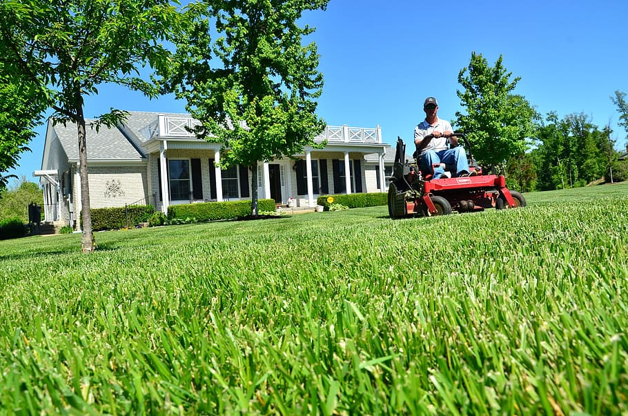 How a Professional Lawn Mowing Service Can Transform Your Yard