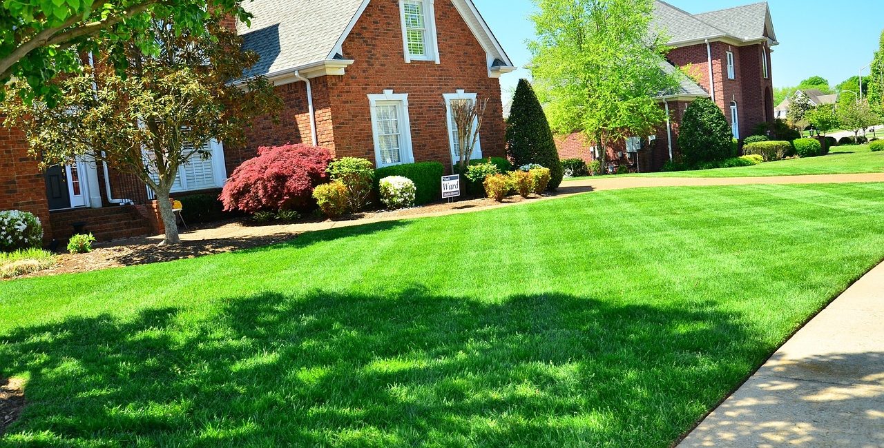 Tips for Outshining Your Neighbour's Lawn