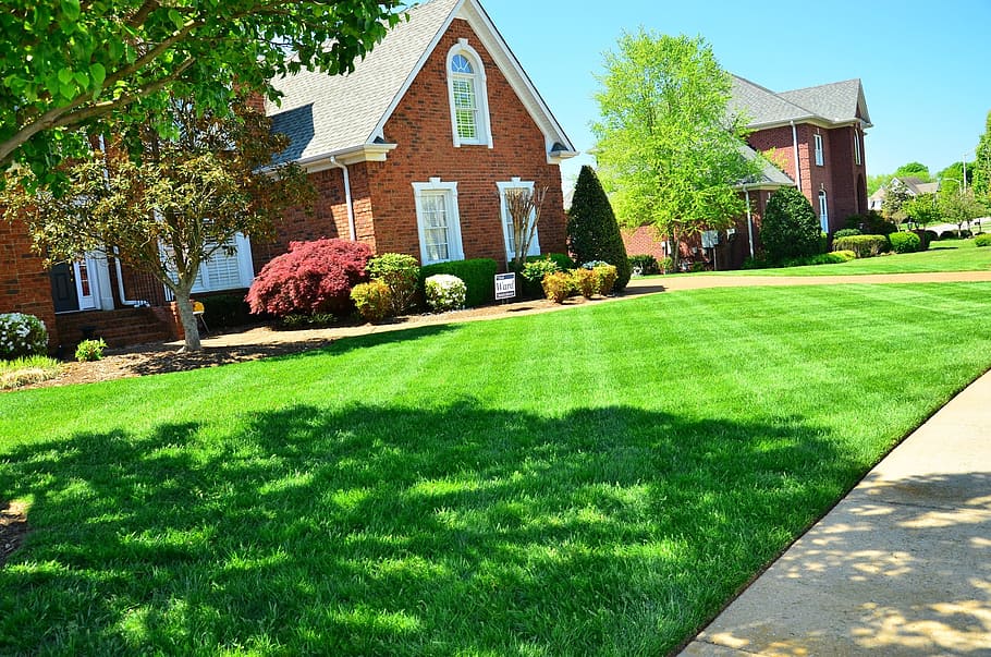 Weed-Free Lawns