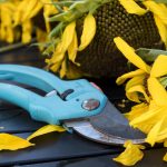 Renovating Your Garden on a Budget