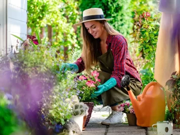 How to Become a Master Gardener?
