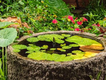 Unlock the Magic: Transforming Your Wet Garden into a Lush Paradise