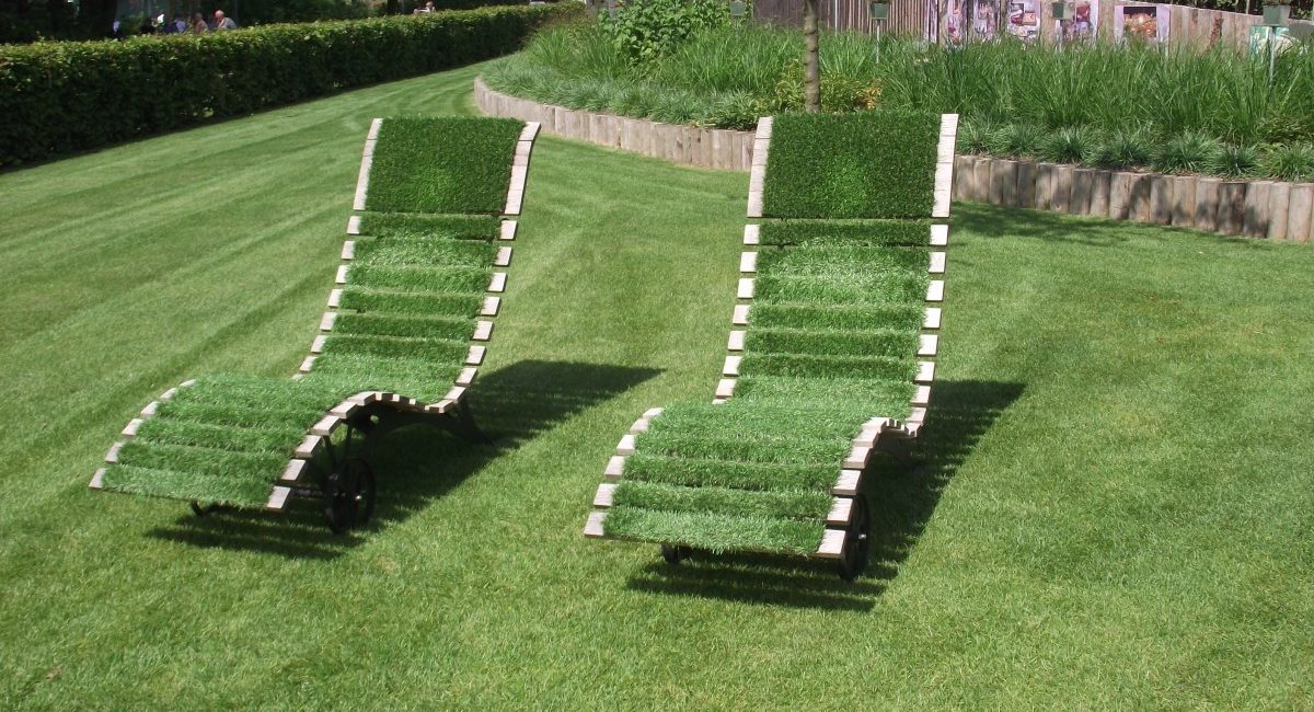 A Guide to Creating Your Perfect Lawn