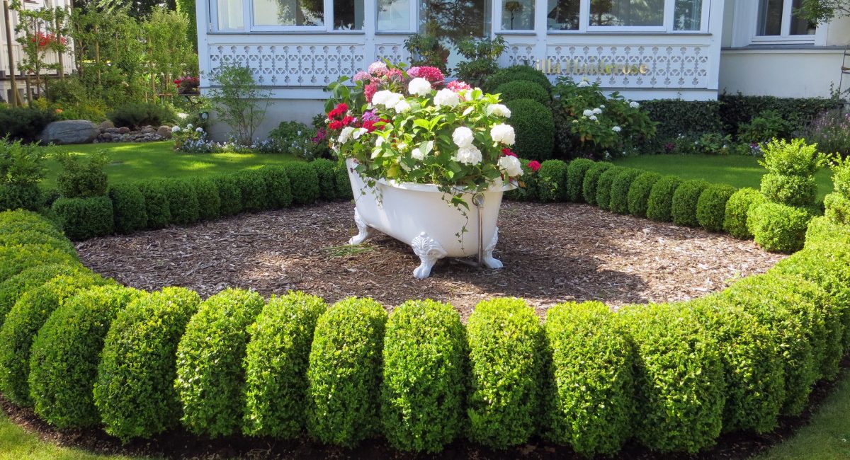 How to Flower Your Yard: Tips for a Blooming Courtyard