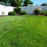 5 Tips to Transform Your Palm Bay Landscape Oasis