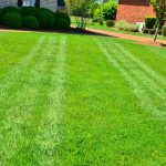 Prep Your Lawn: 5 Steps Before Installing